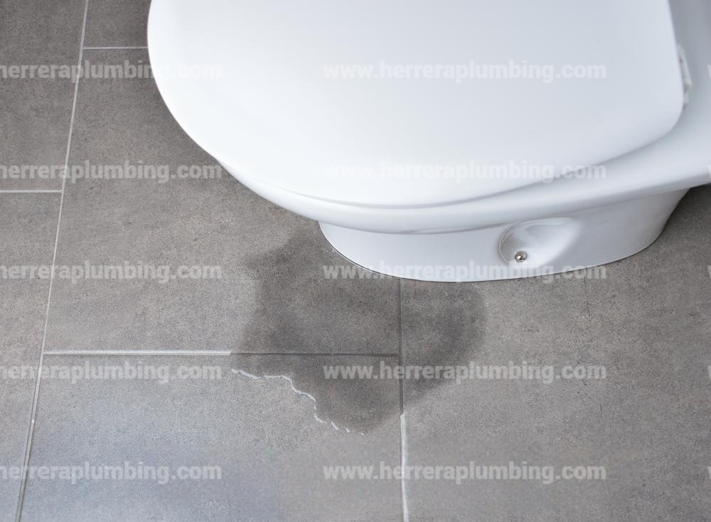 Leaking toilet in Houston Leaking toilet in Houston